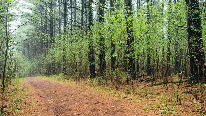 Ice Age Trail 50