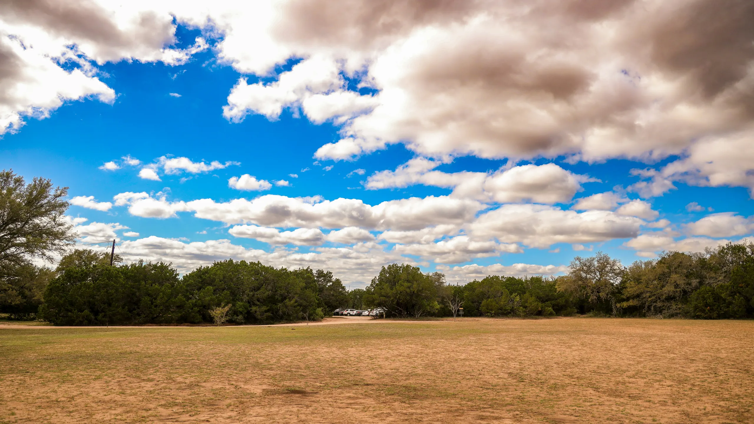 Save the World Brew Run 5k
