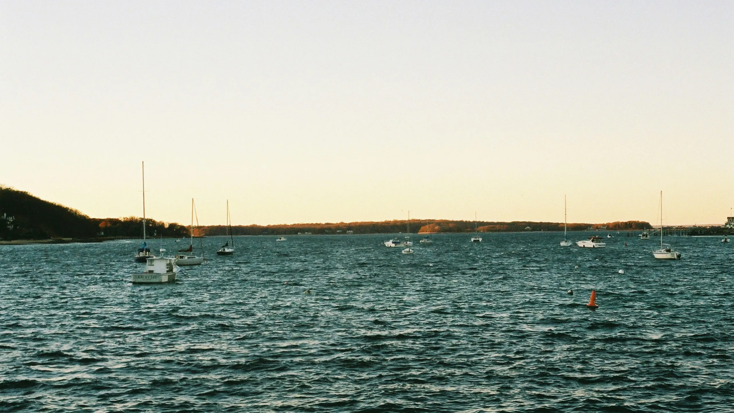 The Great Cow Harbor 10K Run