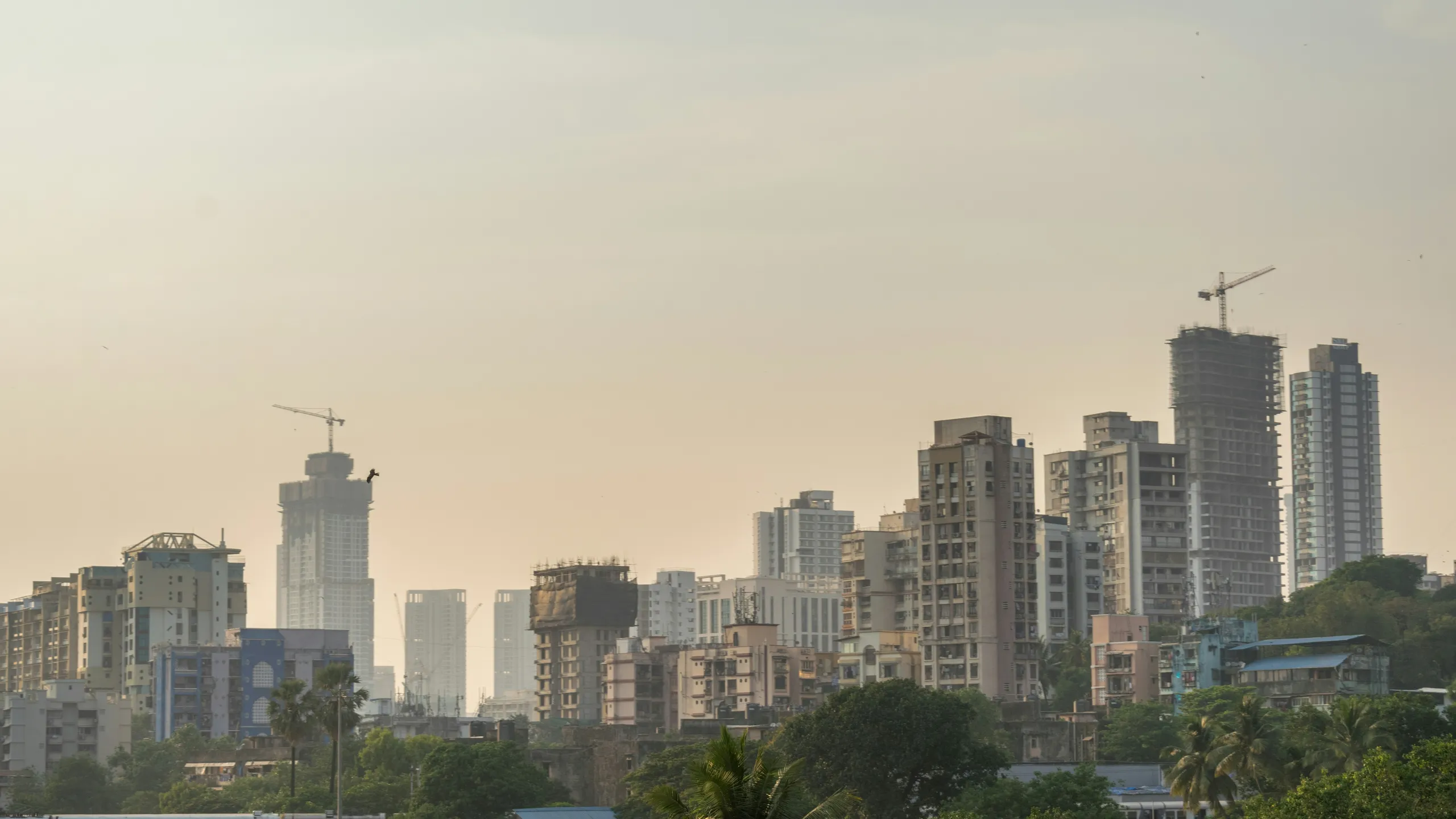 Thane Half Marathon