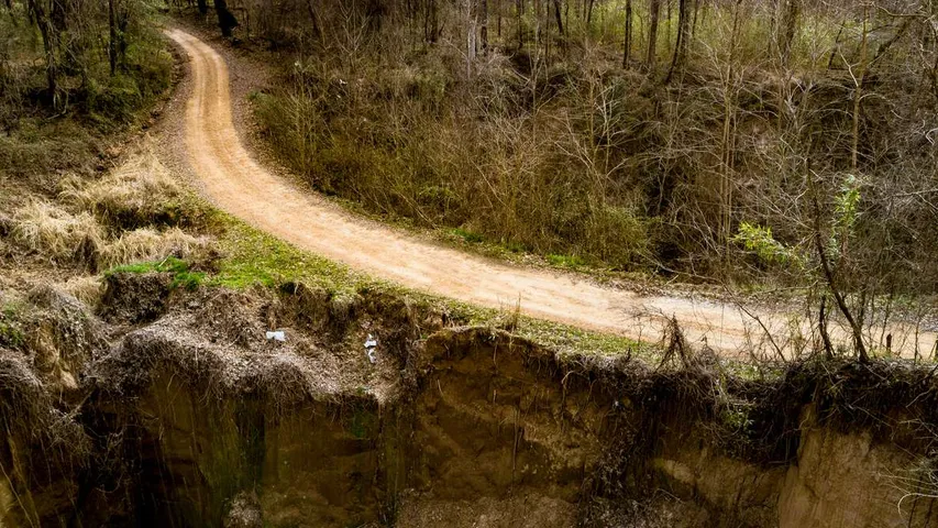 Mississippi Trail Run 100M 50M 50K & 20K