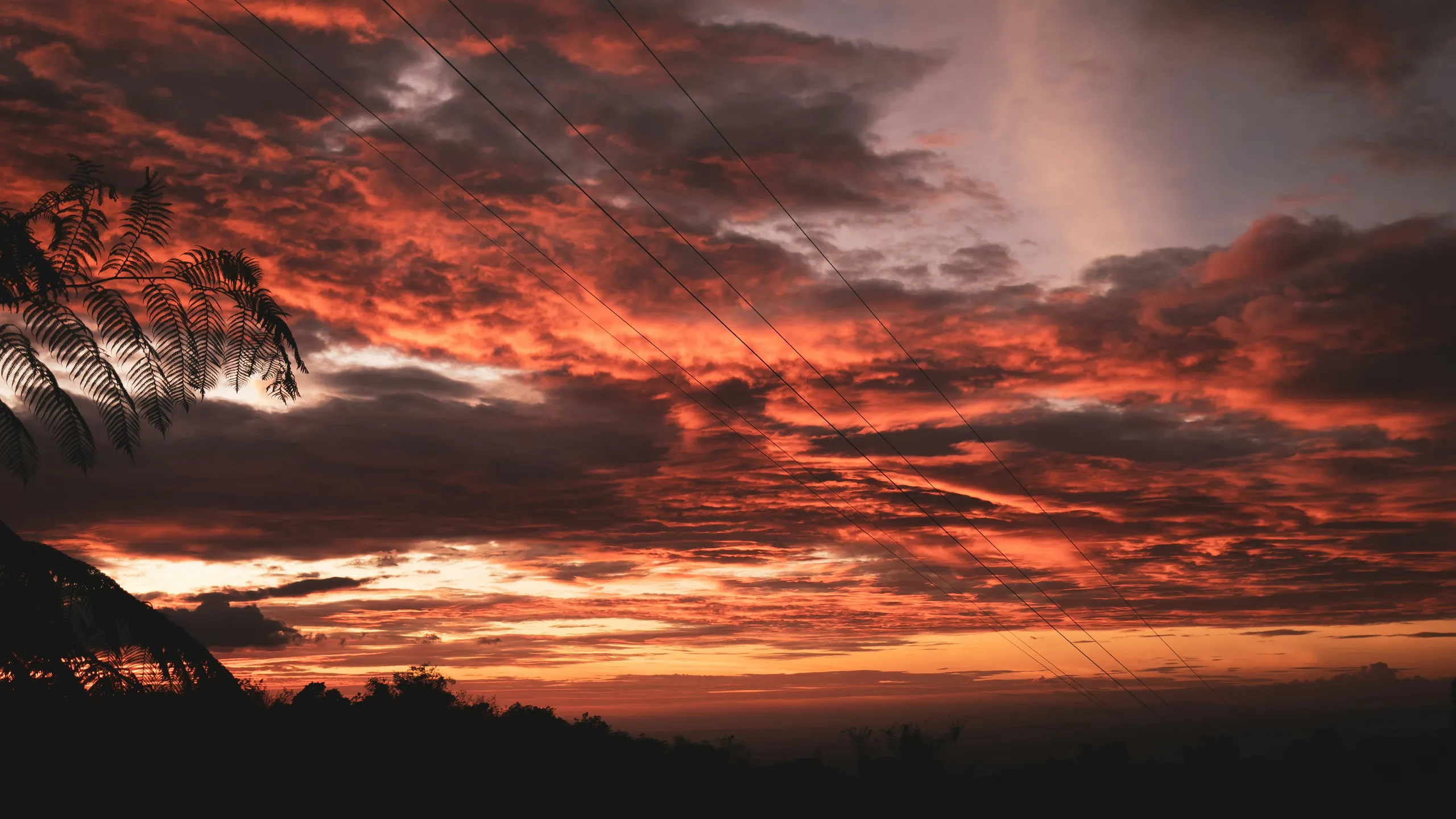 National MILO Marathon - Kidapawan 2025