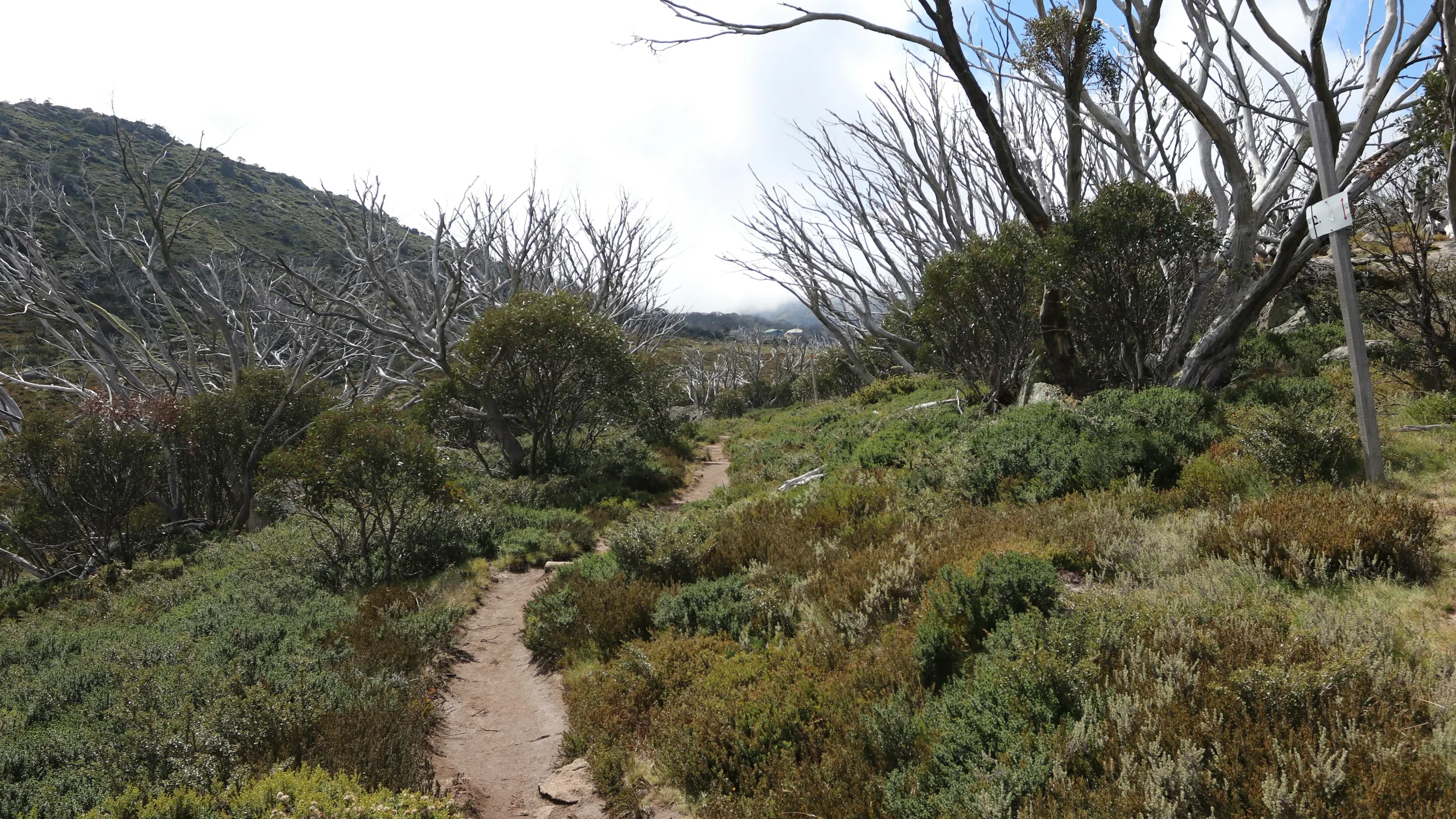 Australian Alpine Ascent