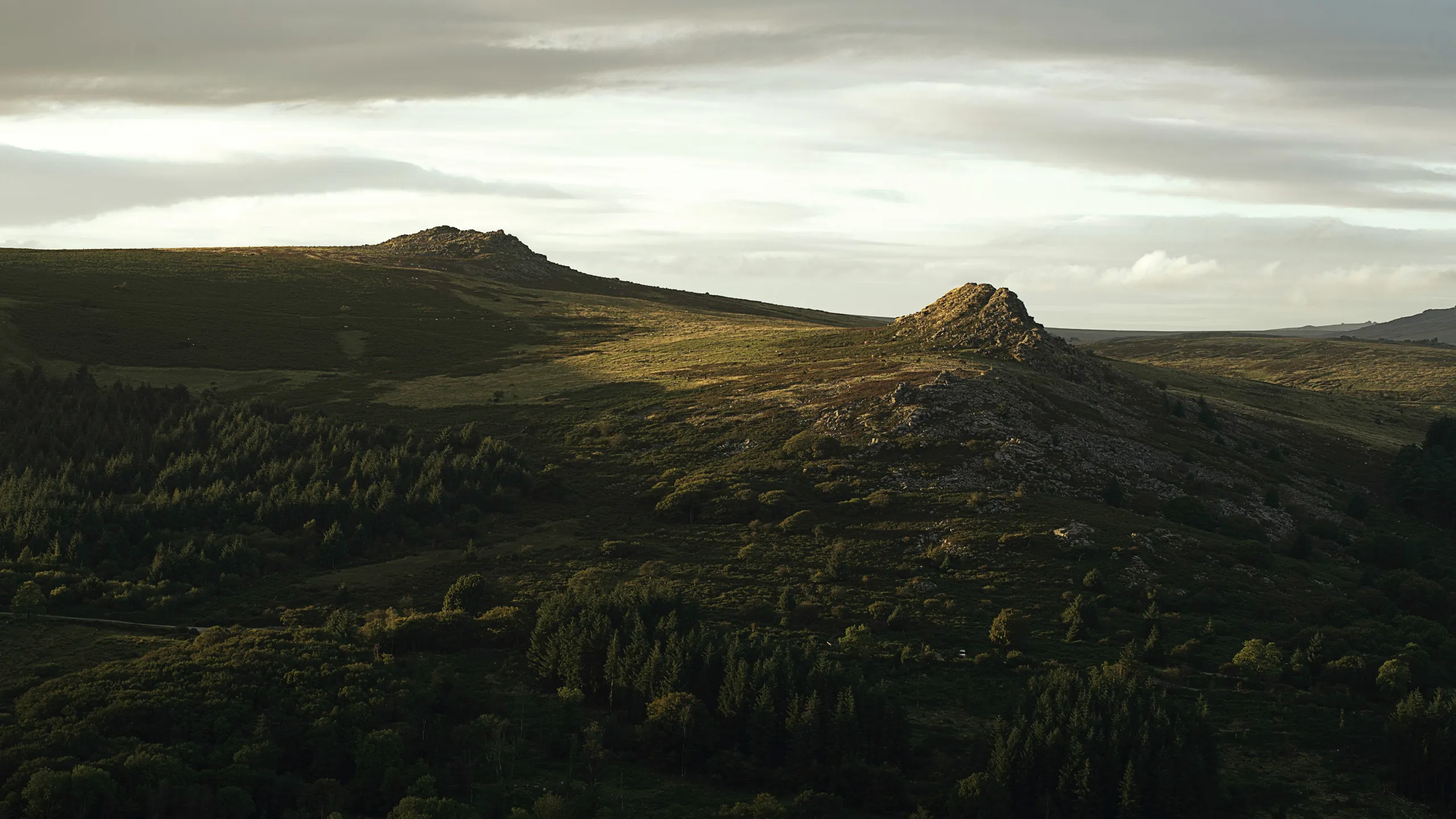 Wild Running Burrator Noir