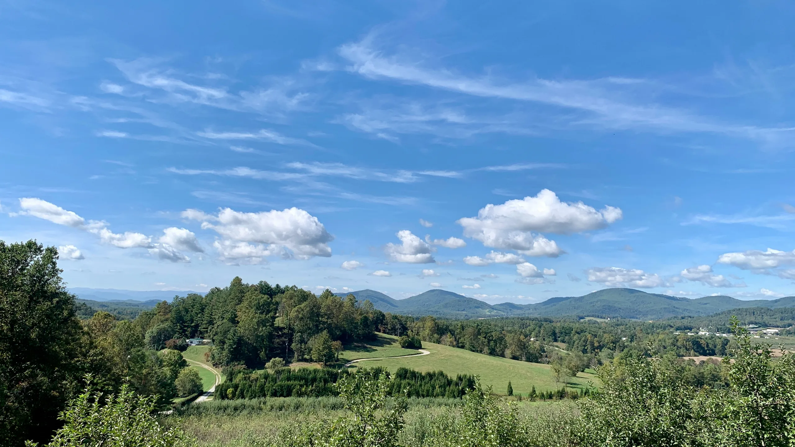 Black Bear Half Marathon & 8K 2025