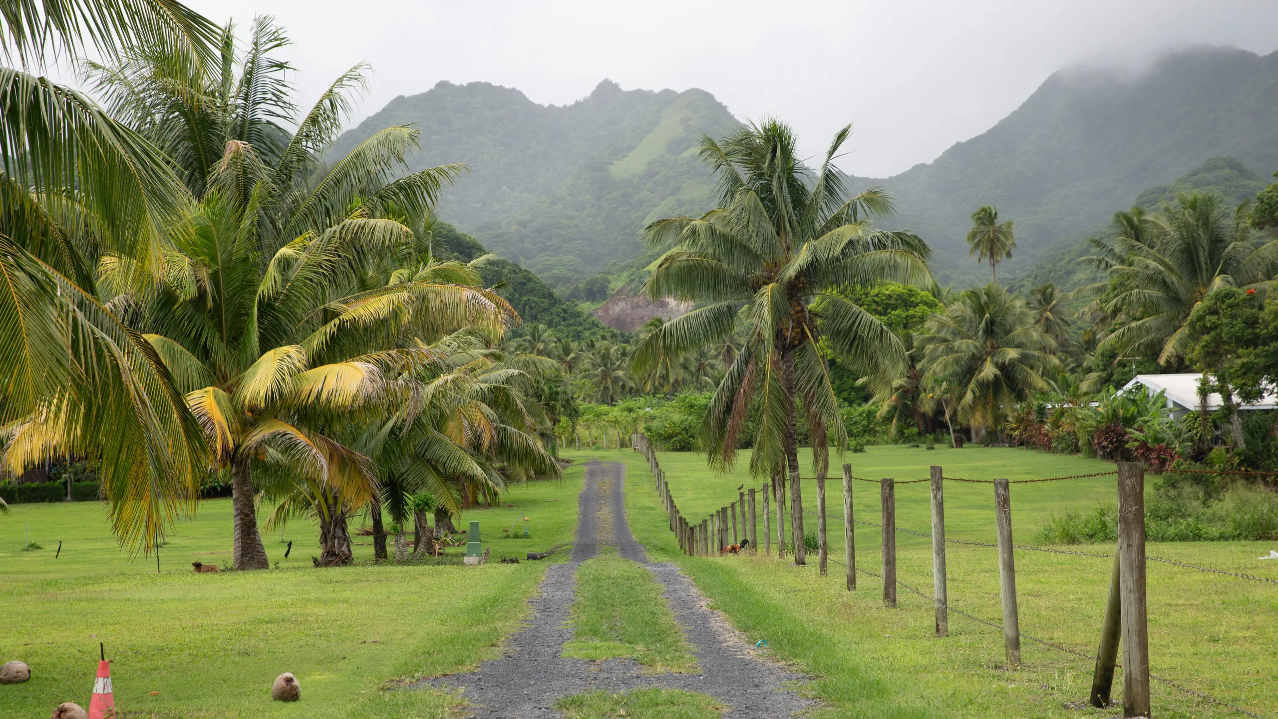 Island Car & Bike Hire Round Rarotonga Road Race