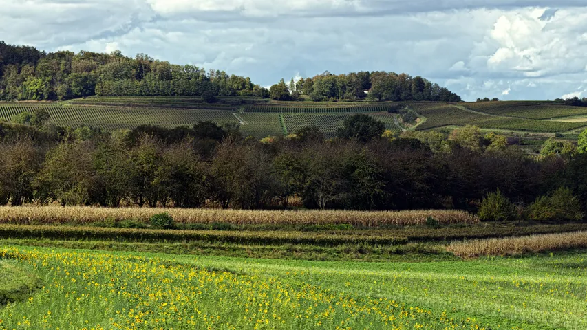 Retford Half Marathon
