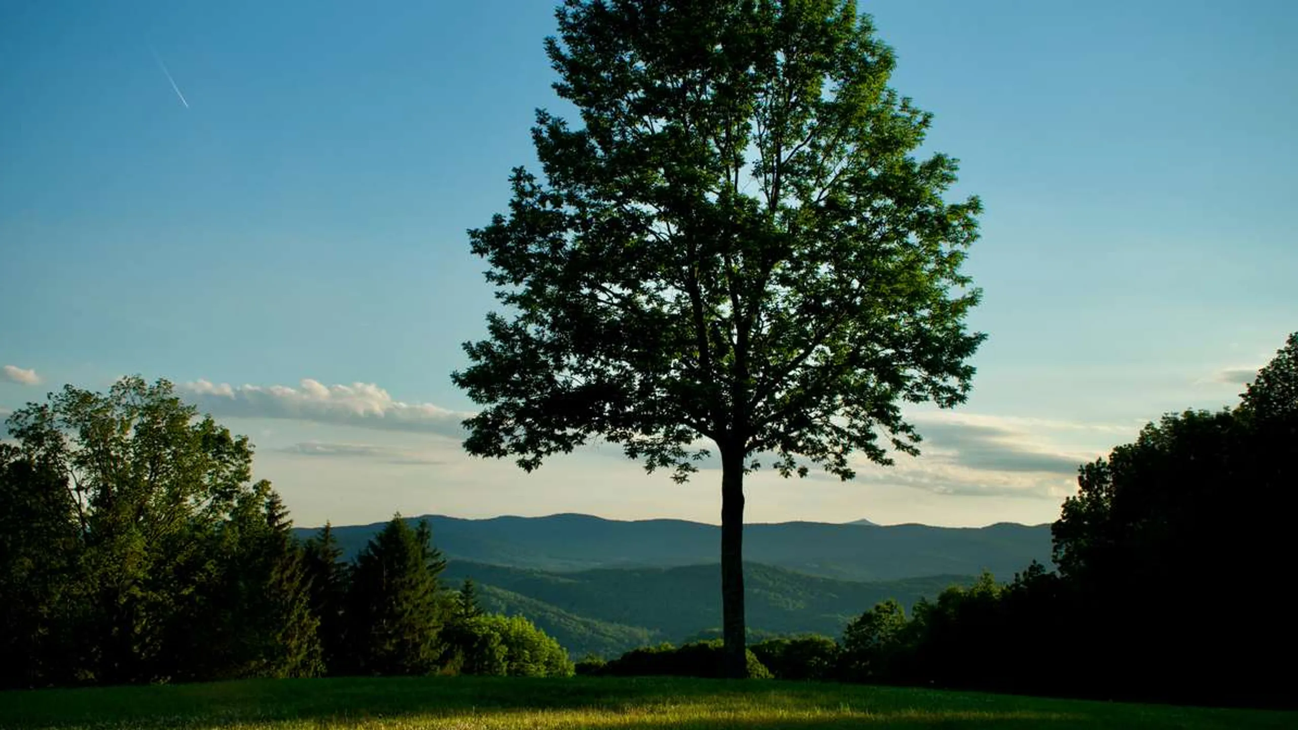 Covered Bridges Half Marathon