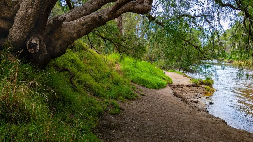 Community Bank Warrandyte Bendigo Bank WCB Run Warrandyte