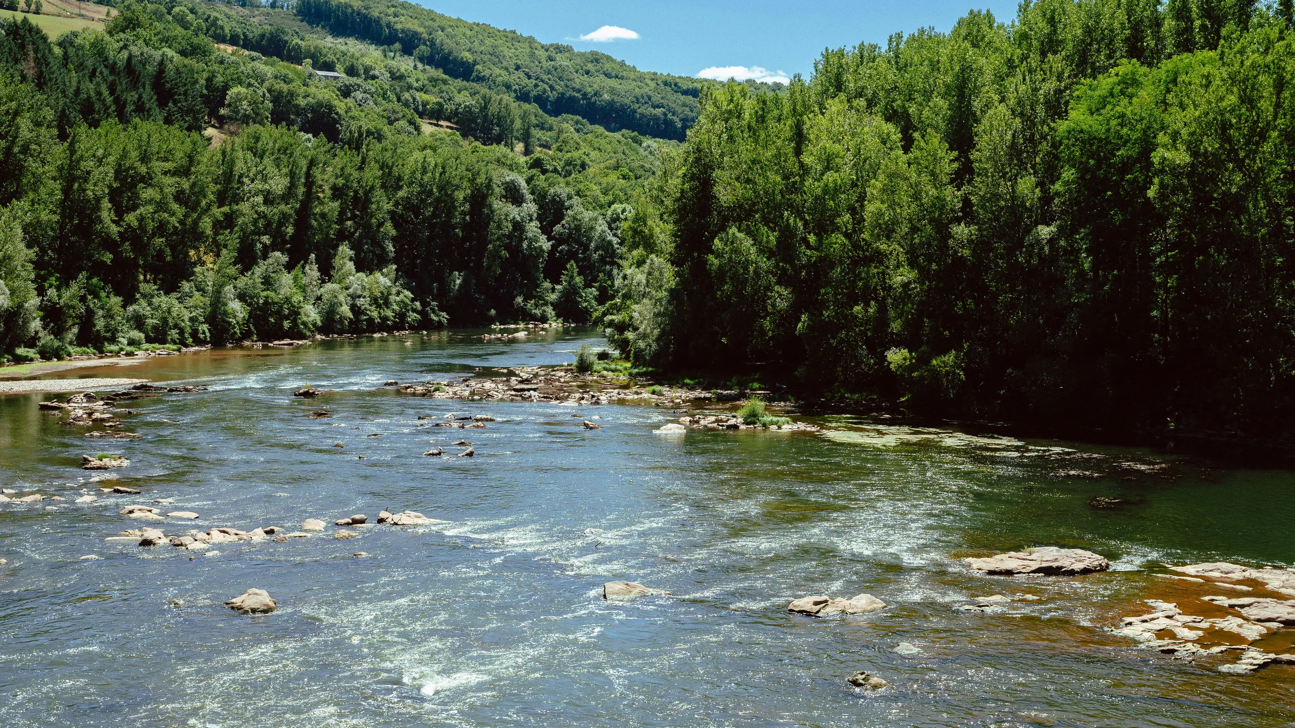 11 Miles to Paradise