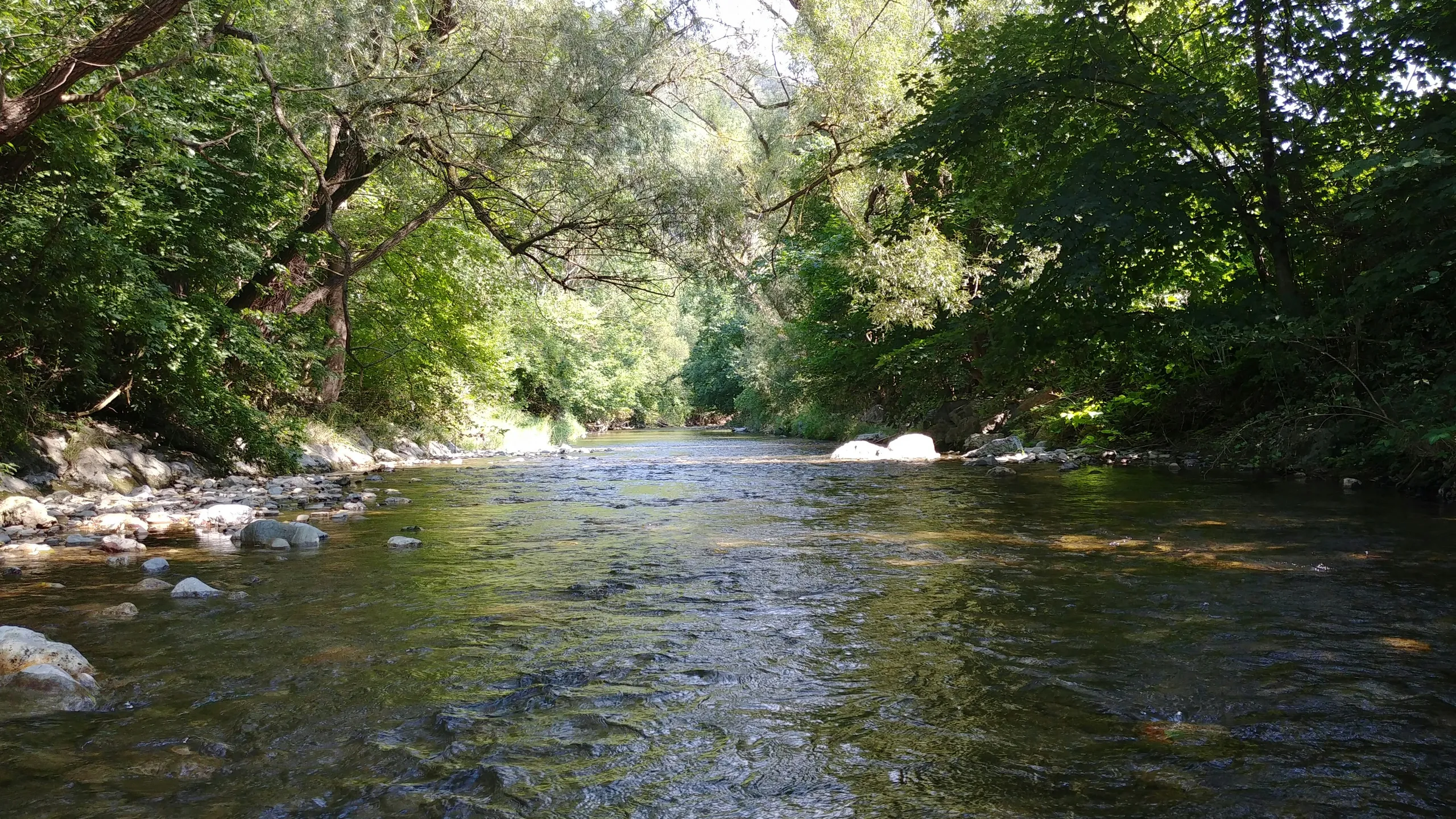 San Tan Scramble Trail Runs