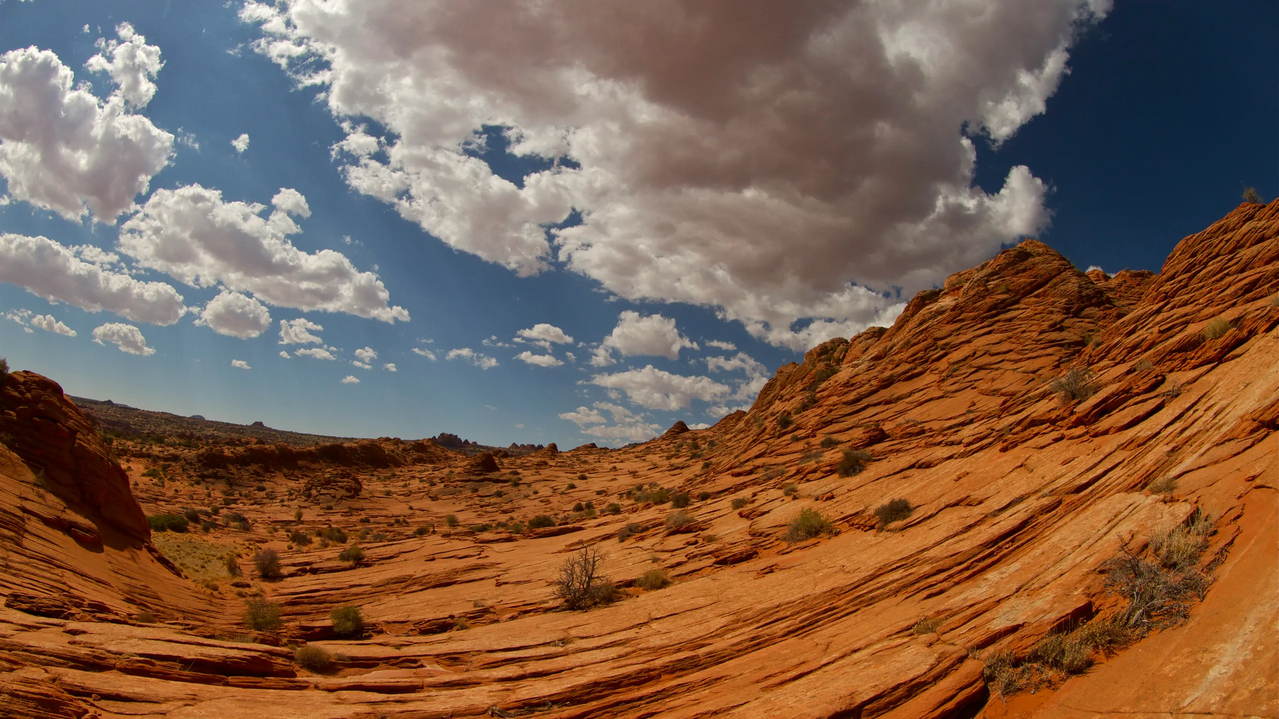 Grand Circle Trailfest