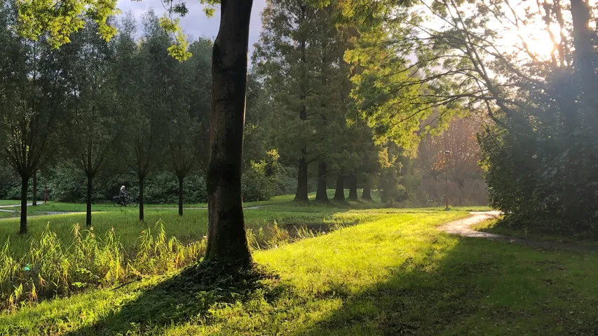 Geuzenloop Zoetermeer