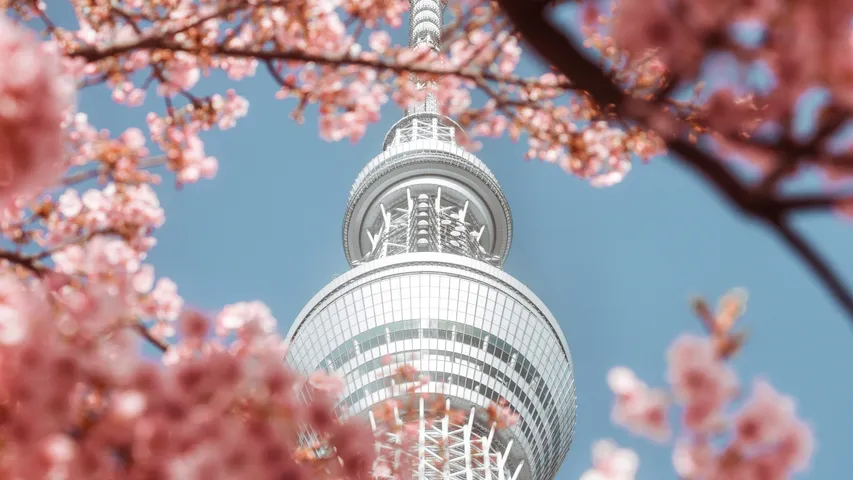 Tokyo Marathon