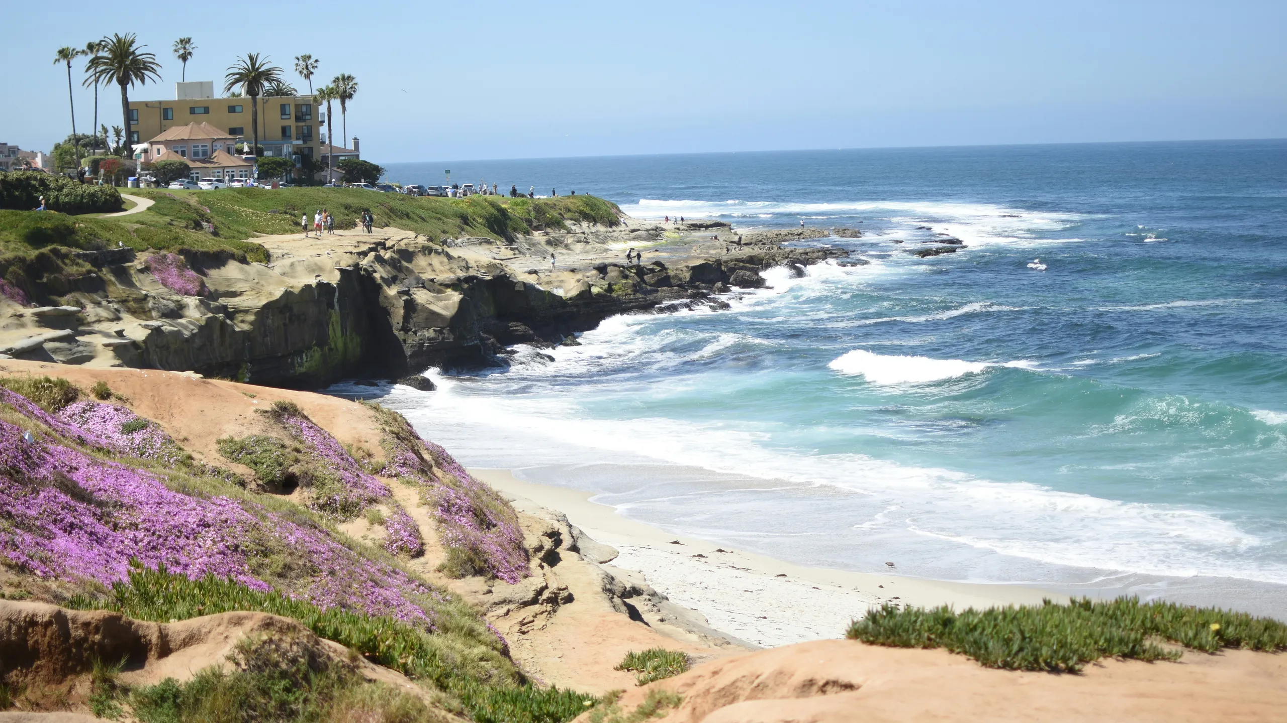 La Jolla Half Marathon & La Jolla Shores 5K