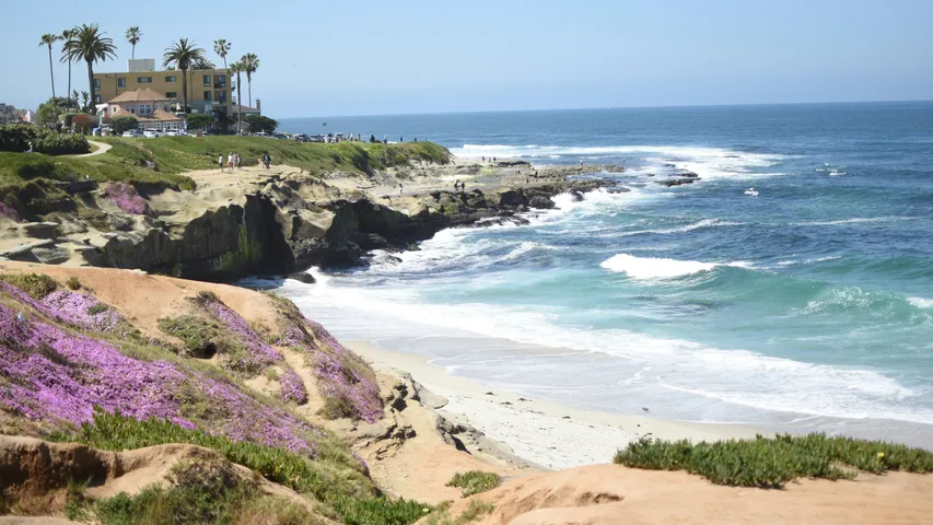 La Jolla Half Marathon & La Jolla Shores 5K