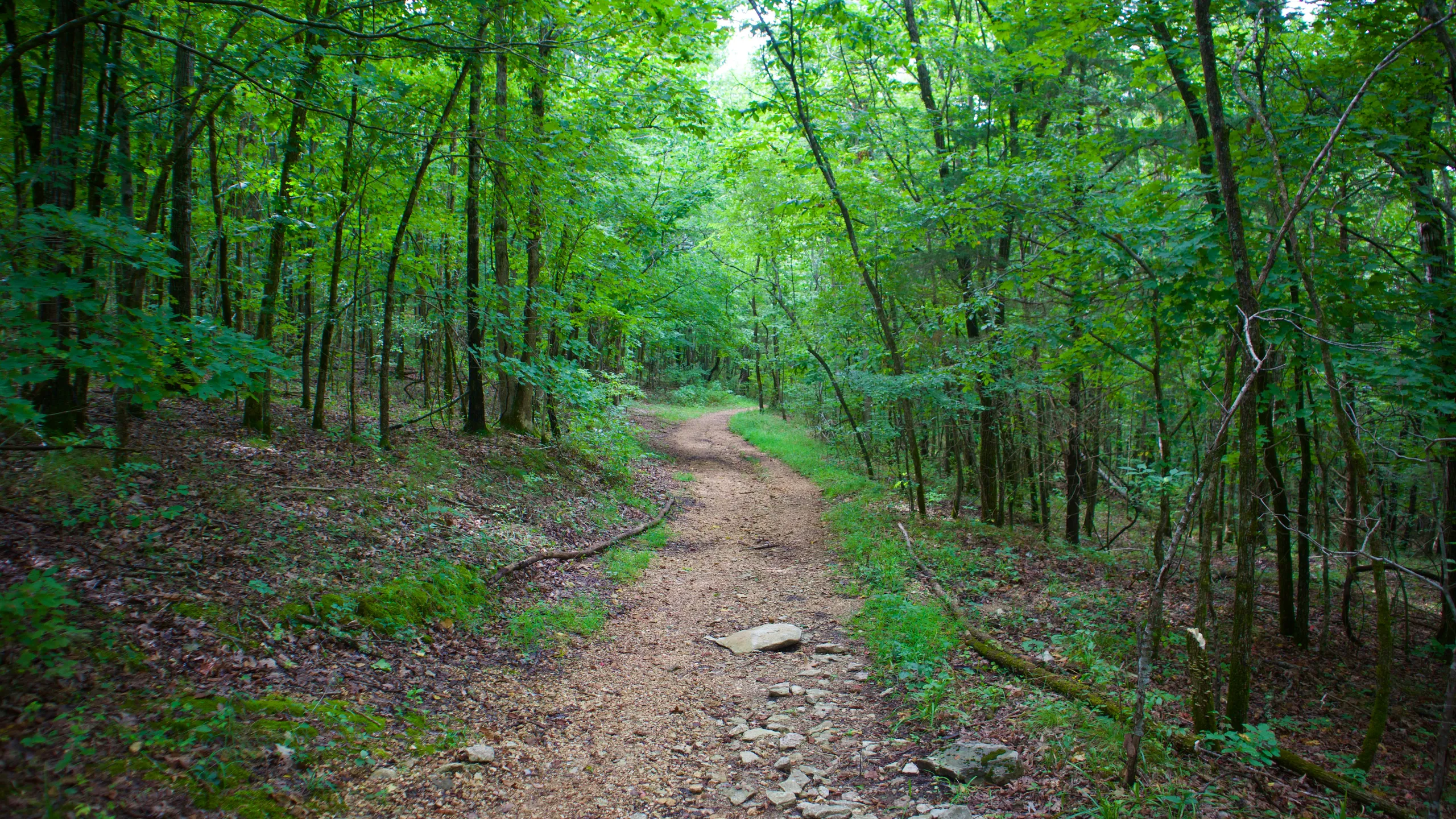 Wade Mountain Marathon