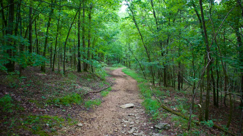 Wade Mountain Marathon