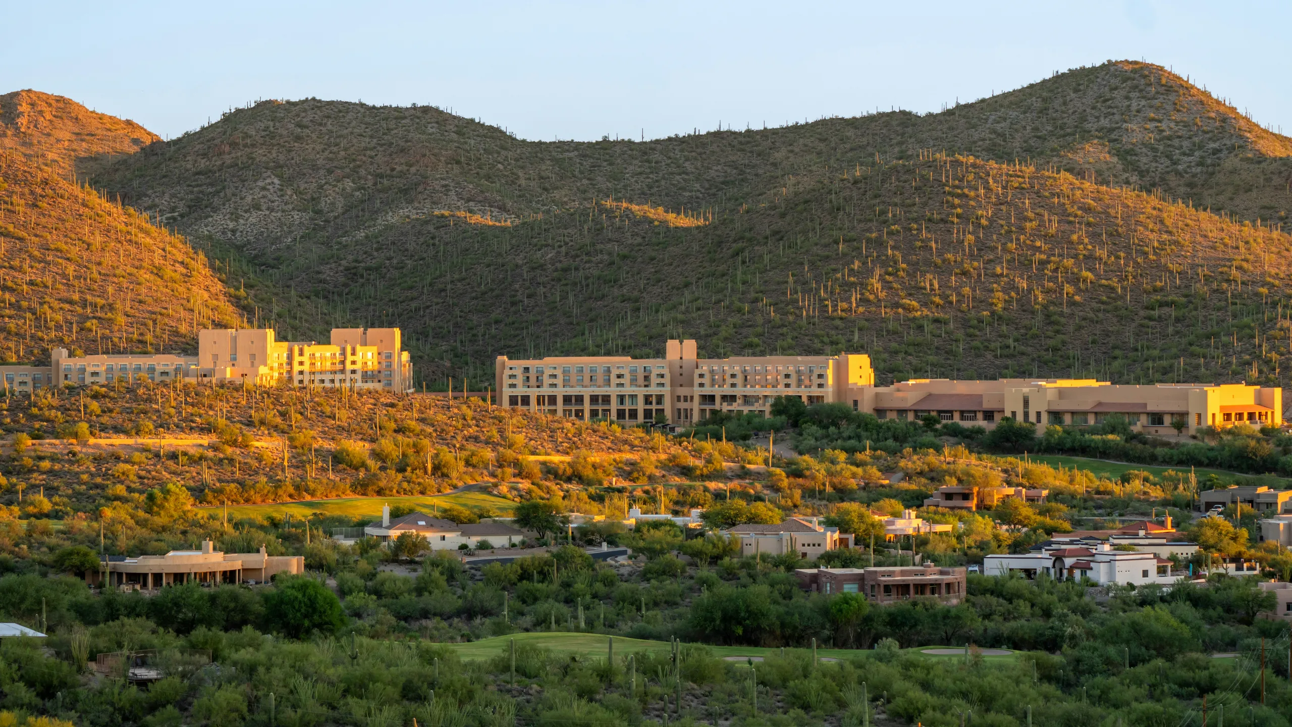 Everyone Runs Veterans Day Catalina State Park 10.6 & 5.3 Mile Trail Races + 5K Road Run