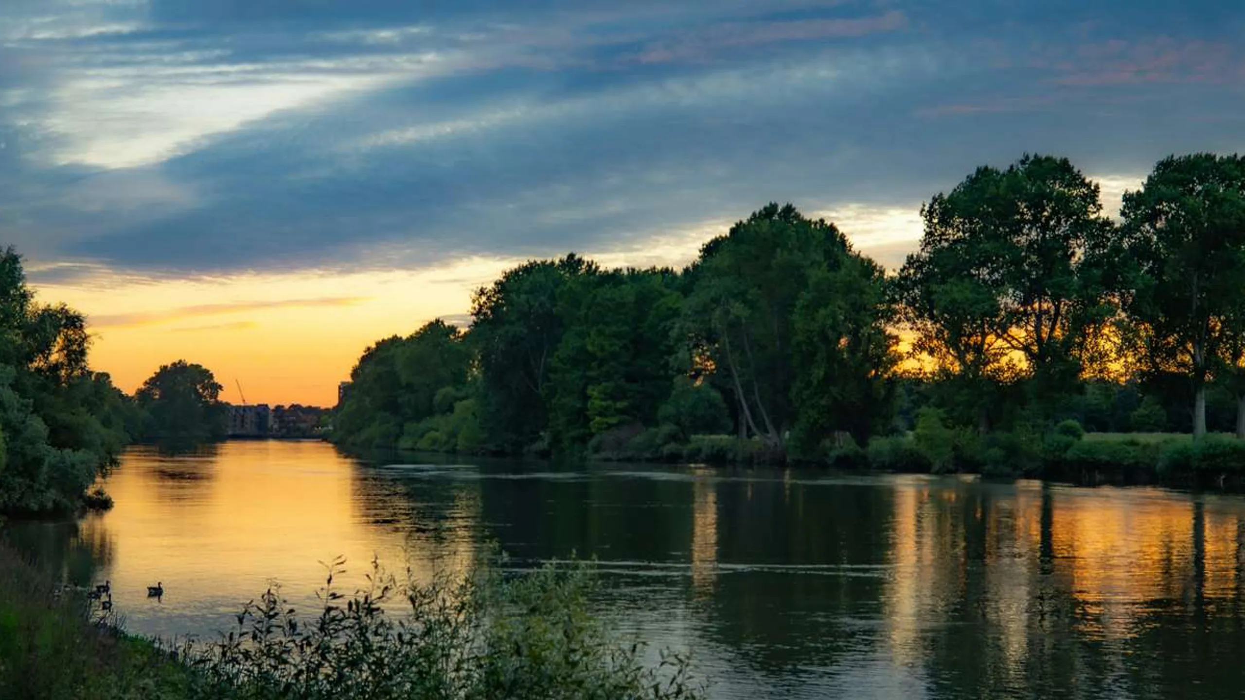 The Richmond Autumn Riverside 10k and Half Marathon Run