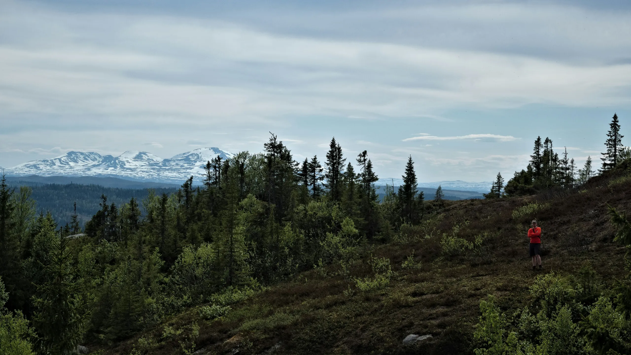 Kia Fjällmaraton Week 2026