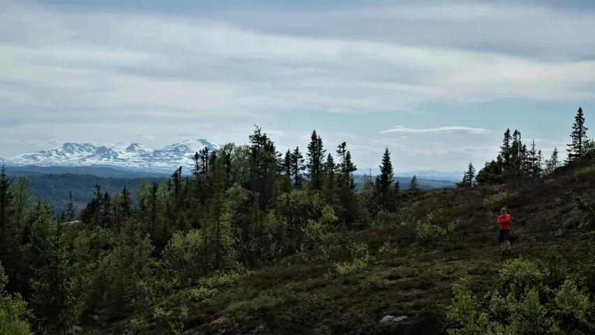 Kia Fjällmaraton Week 2026
