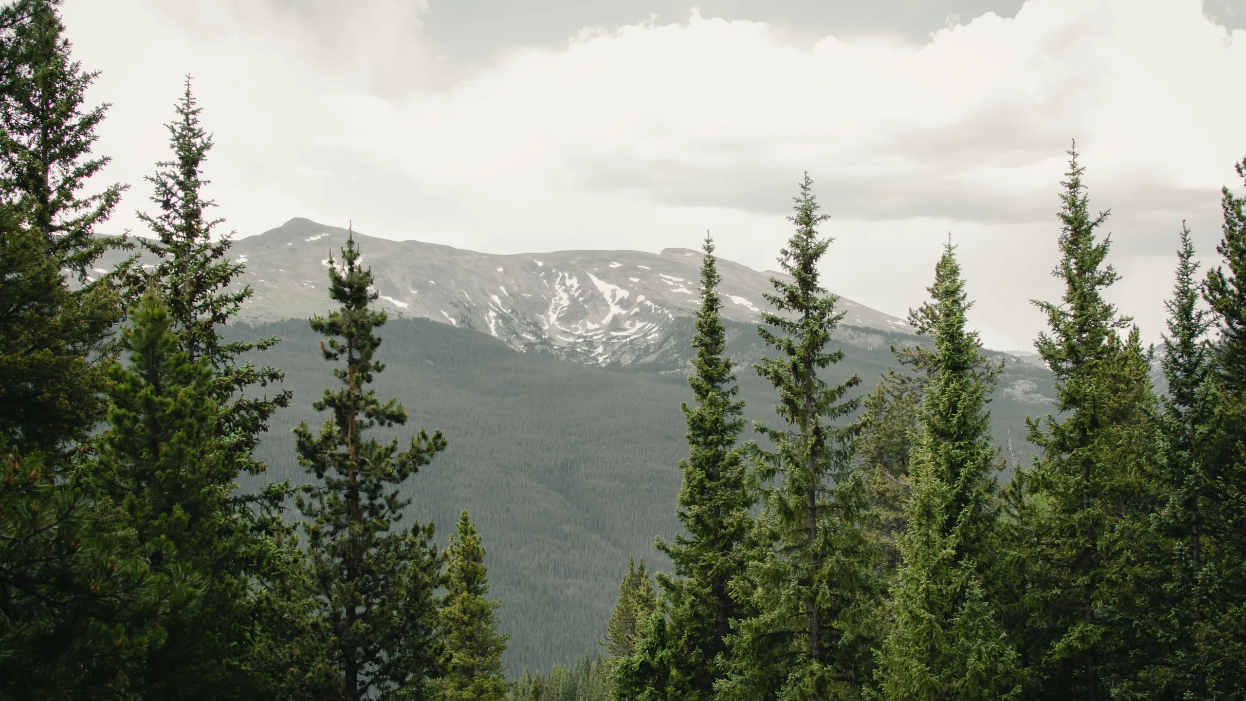 Never Summer 100k & 60k