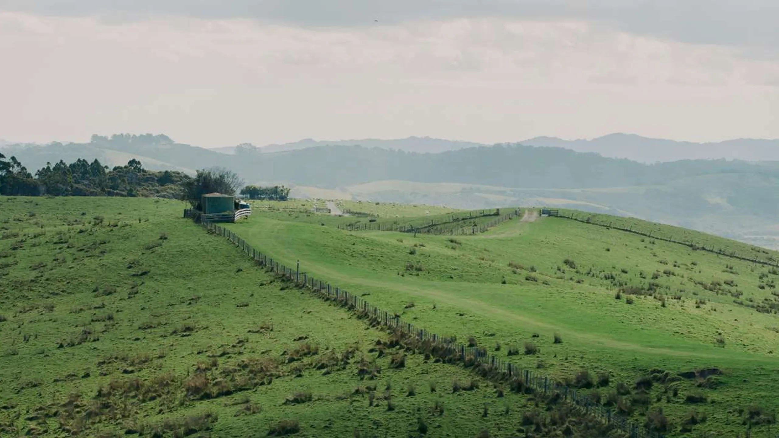 Auckland Trail Run & Walk Series