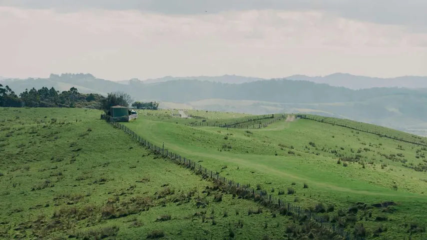 Auckland Trail Run & Walk Series