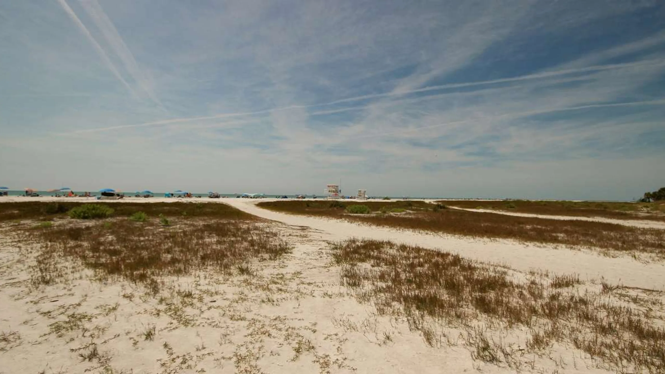 Florida Shamrock Distance Classic