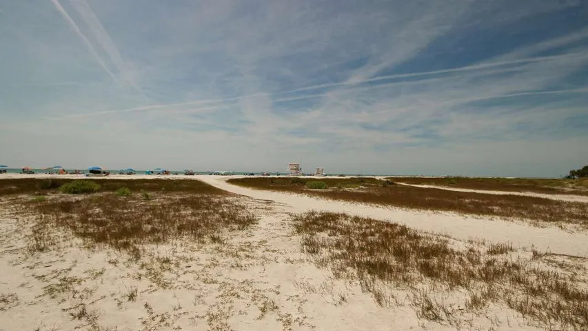 Florida Shamrock Distance Classic