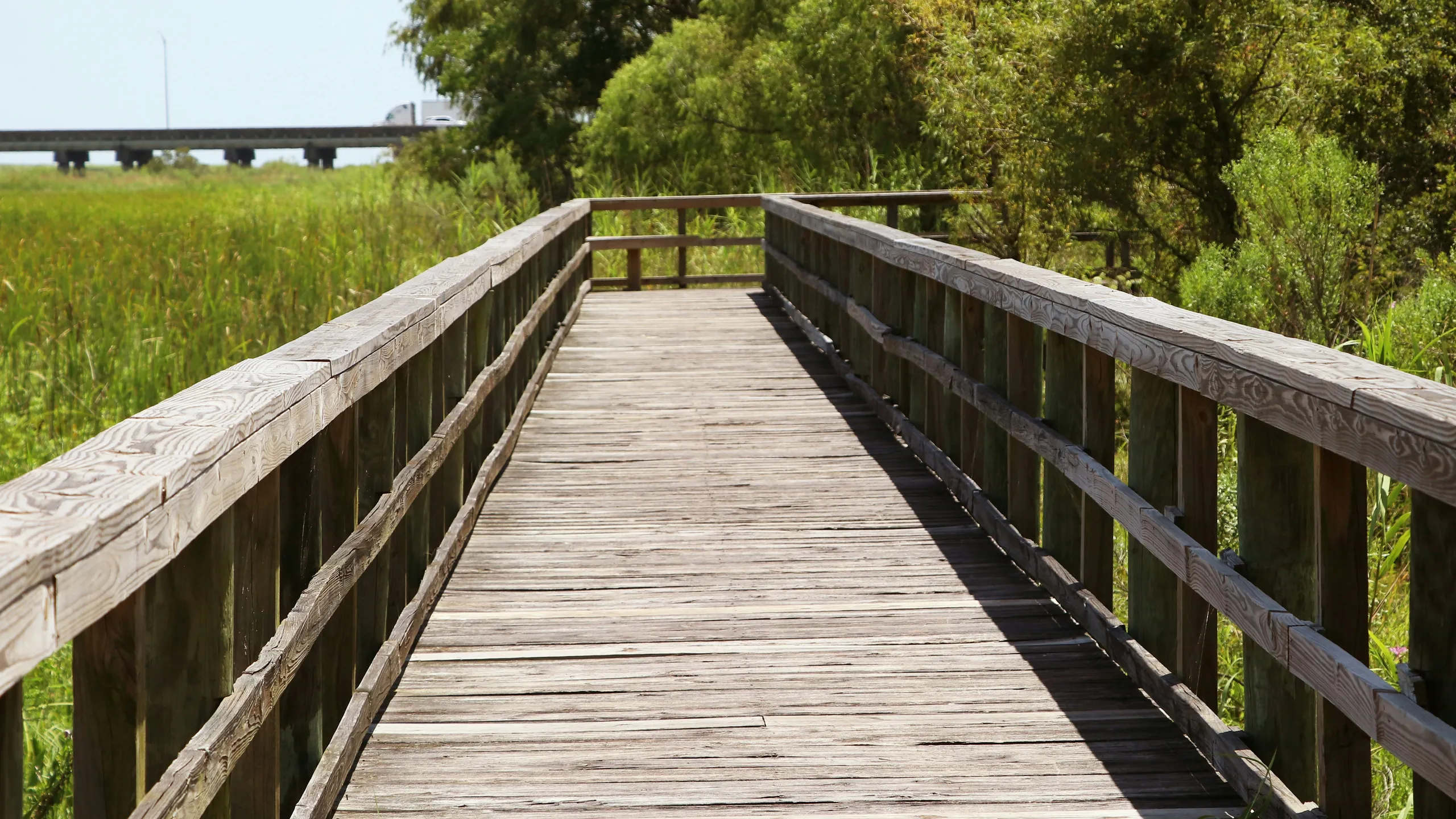 Prodisee Pantry Turkey Trot