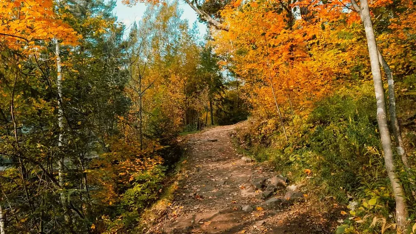 Lake Wobegon Trail Marathon