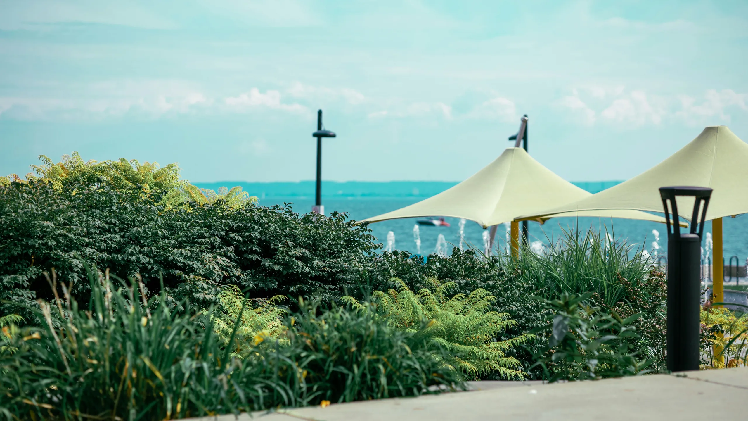 Chilly Half Marathon