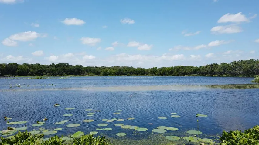 Brazos Bend 50