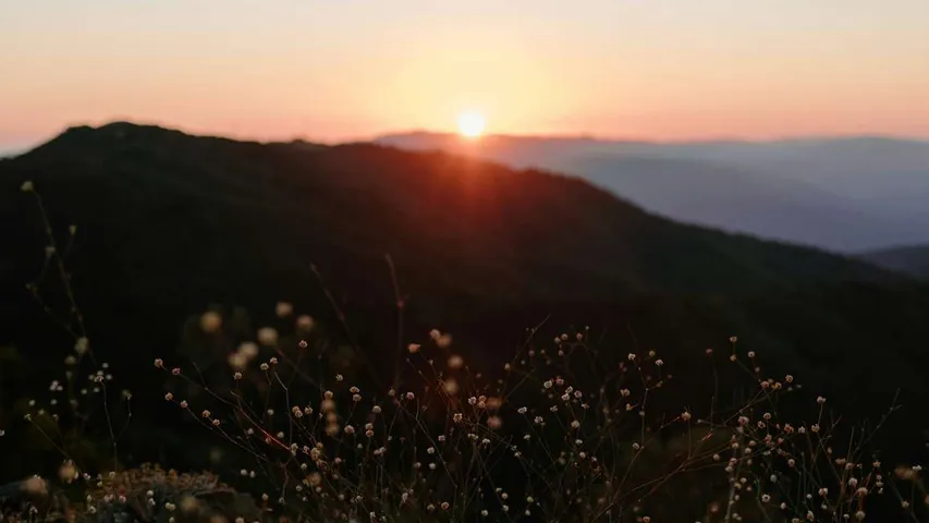 Race to the Top of Mt. Umunhum