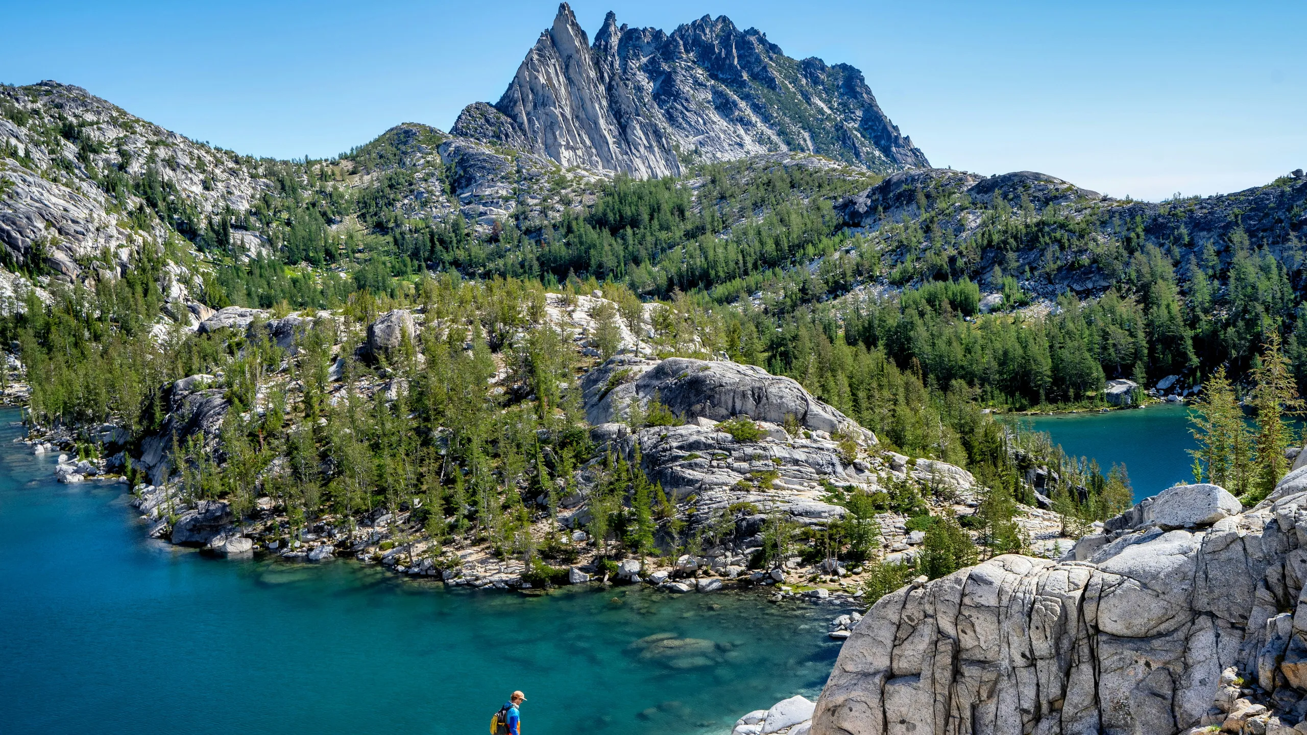Mad Meadows 50