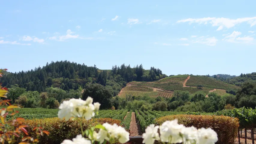 Kaiser Permanente Napa Valley Marathon and Half Marathon