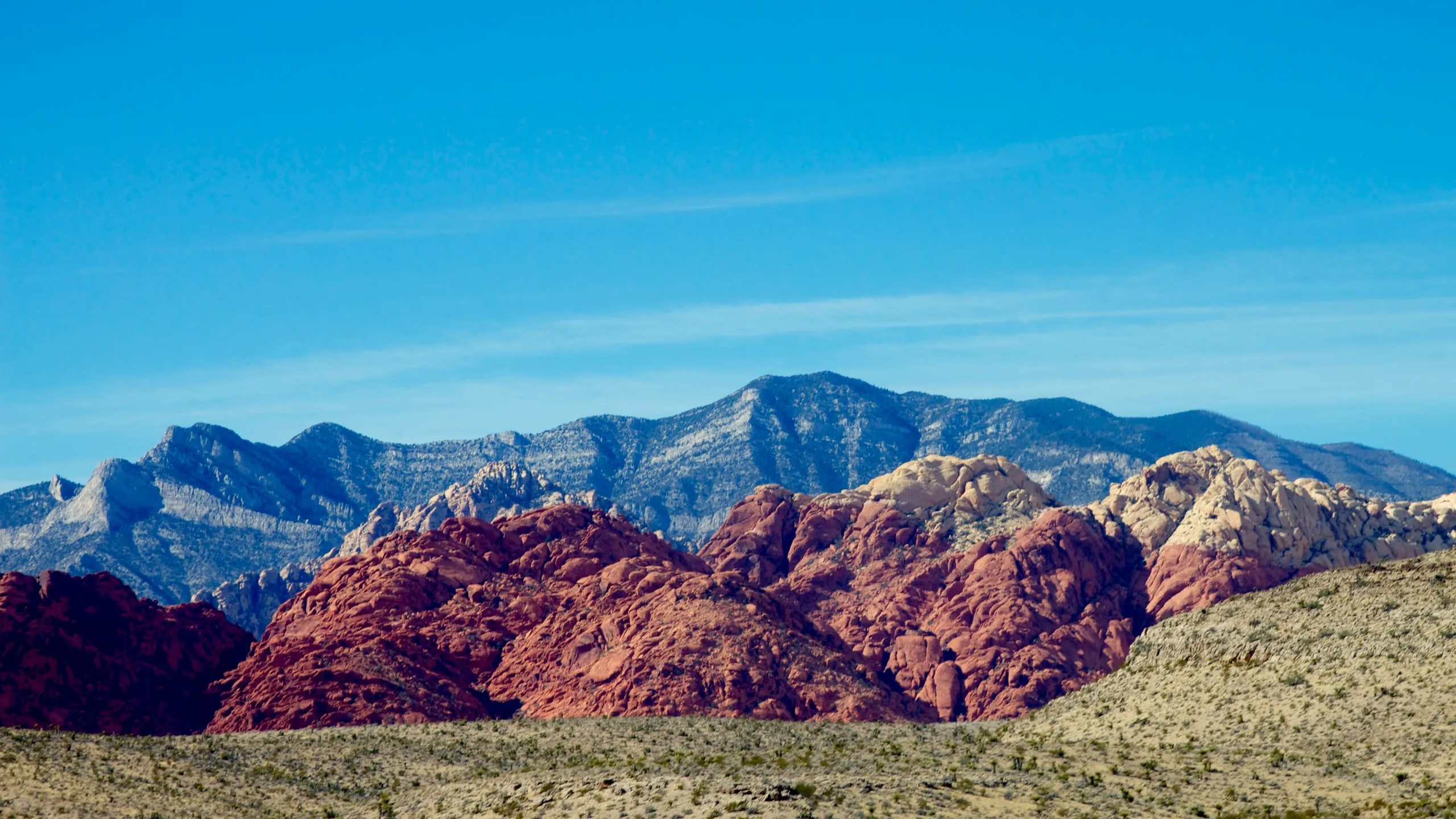 Thelma and Louise Marathon, Half Marathon, and 15K