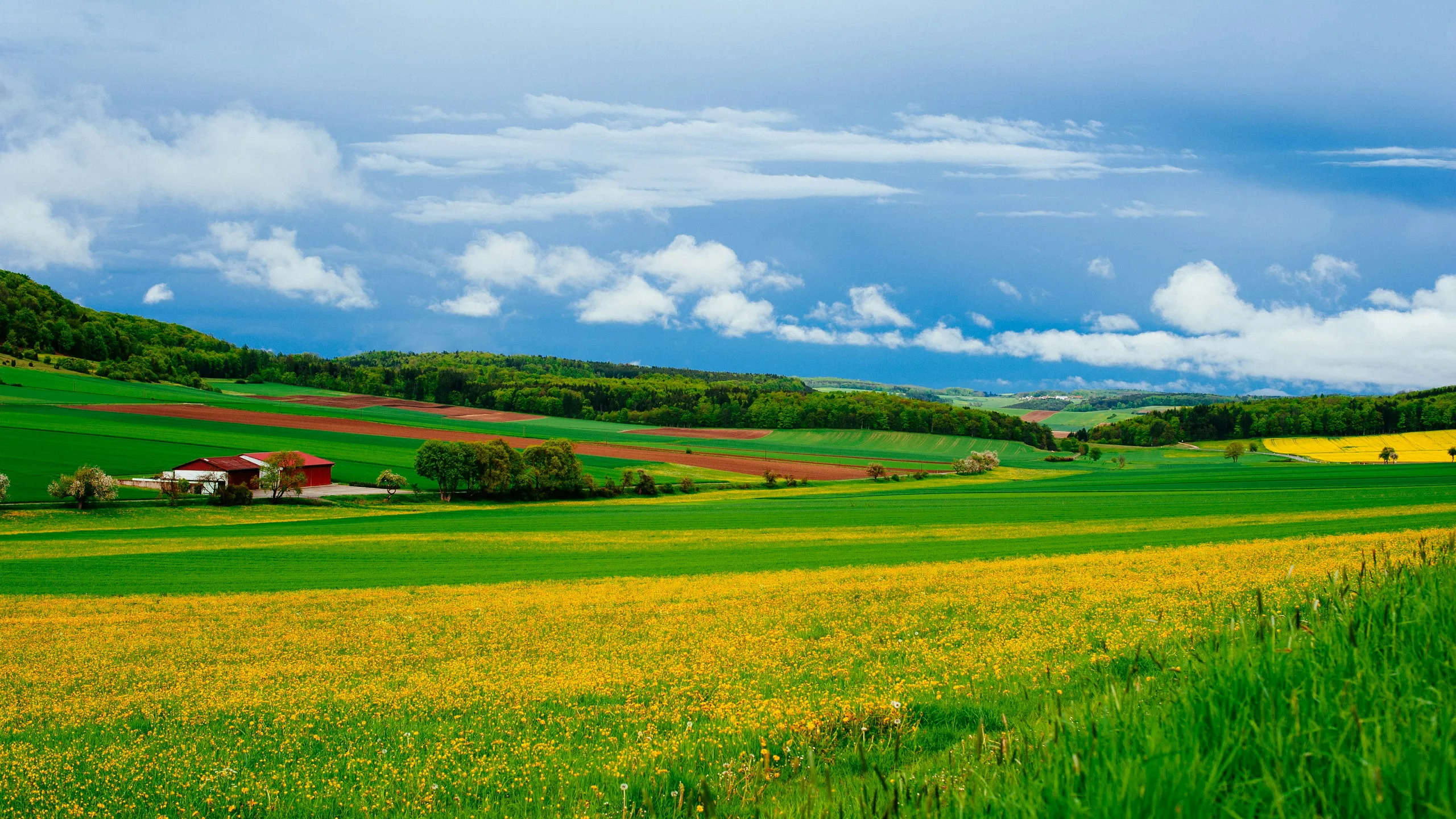 Biberacher Genießerlauf