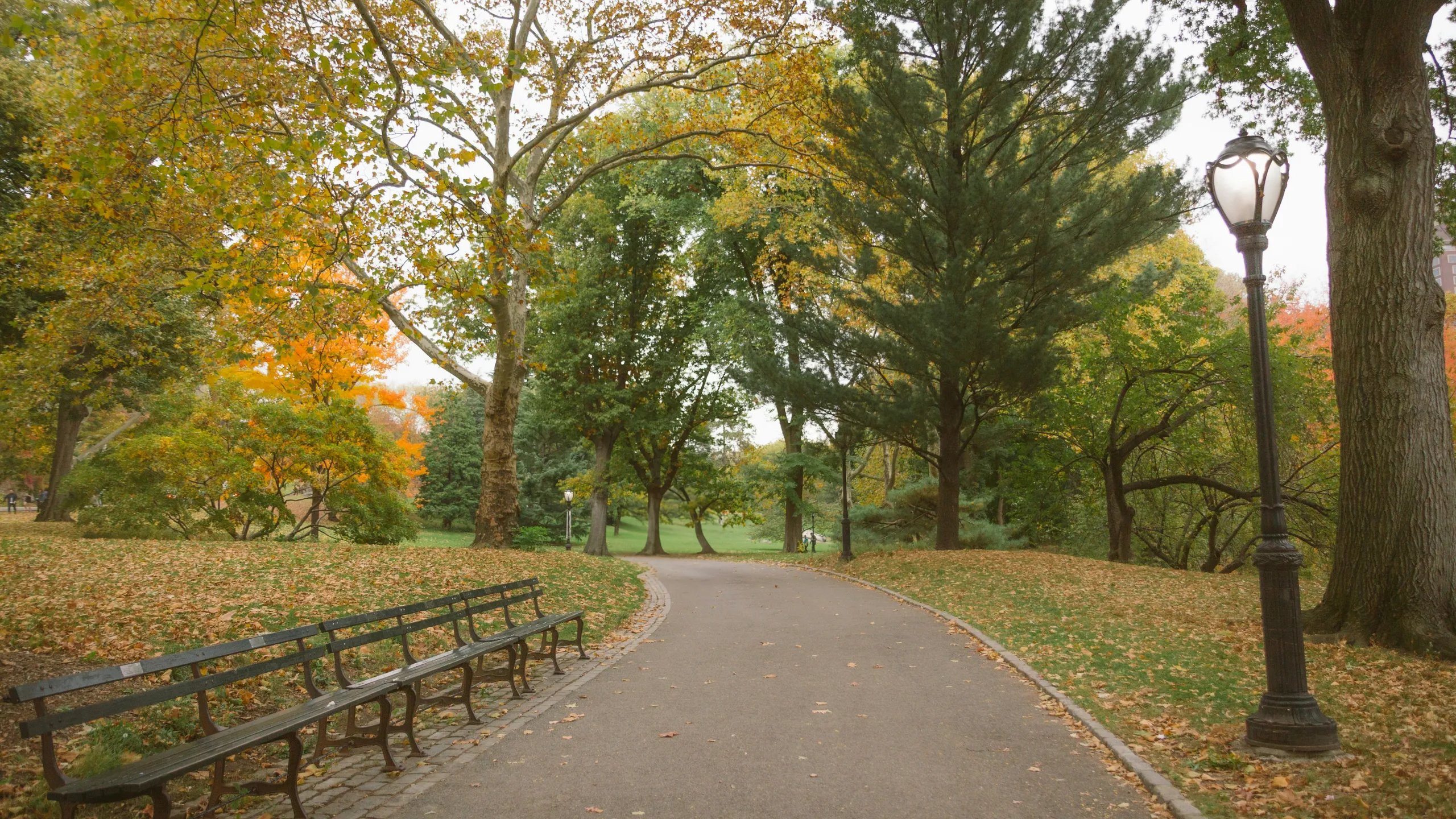 The New Yorker Half, 10K, and 5K Shake Out