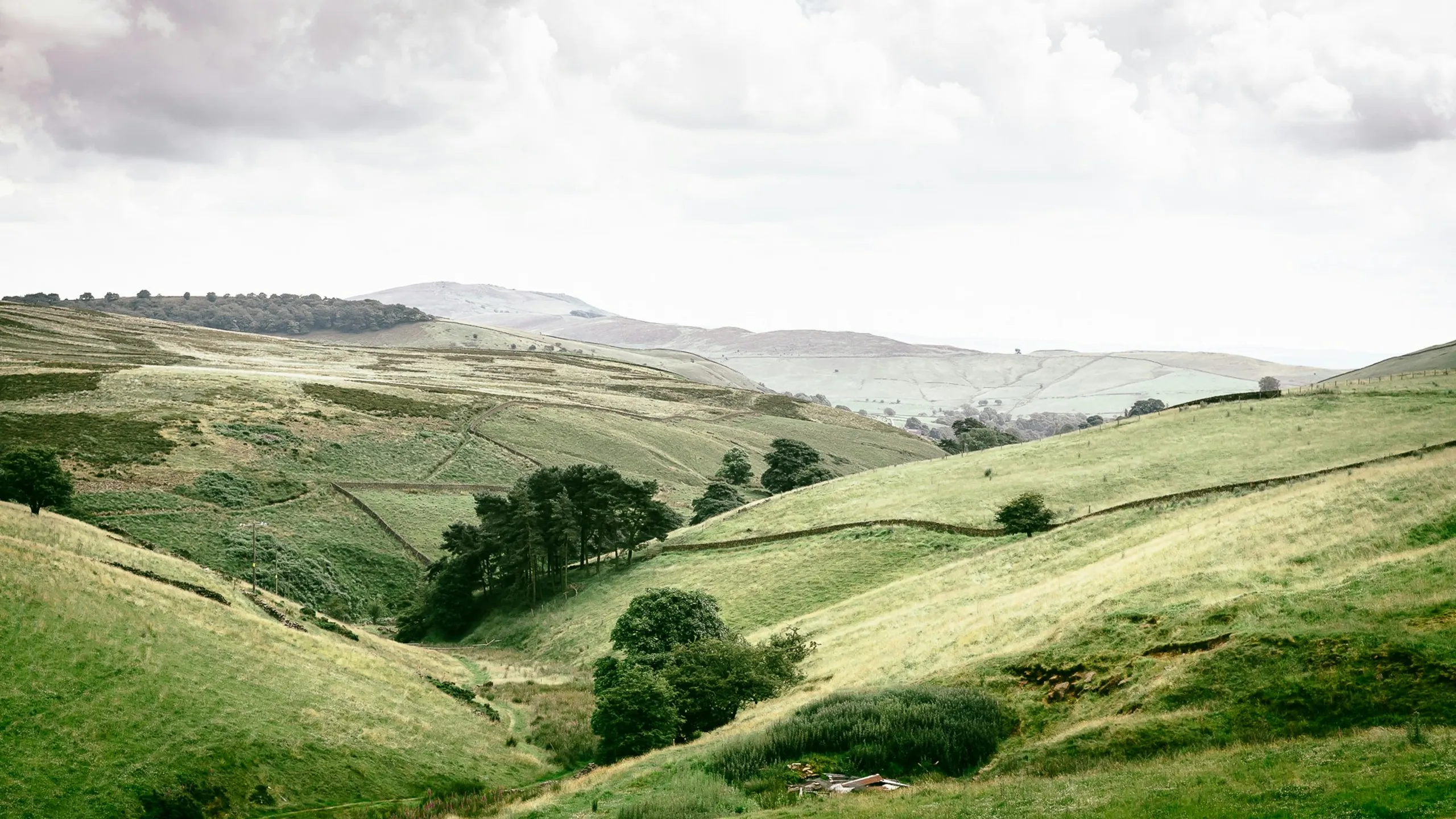 Macclesfield Running Festival