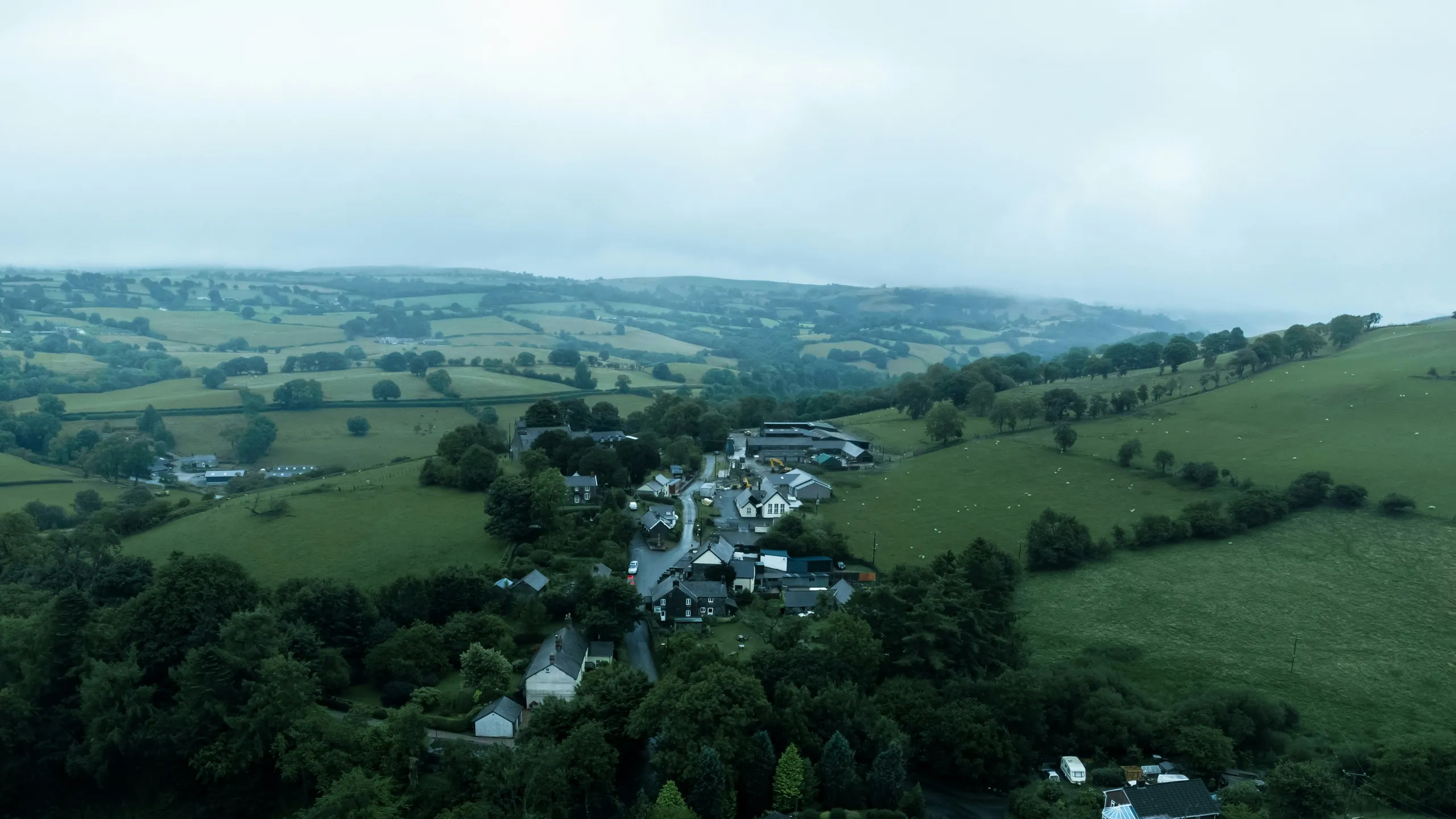 Cani-Trail Half & 22 Mile