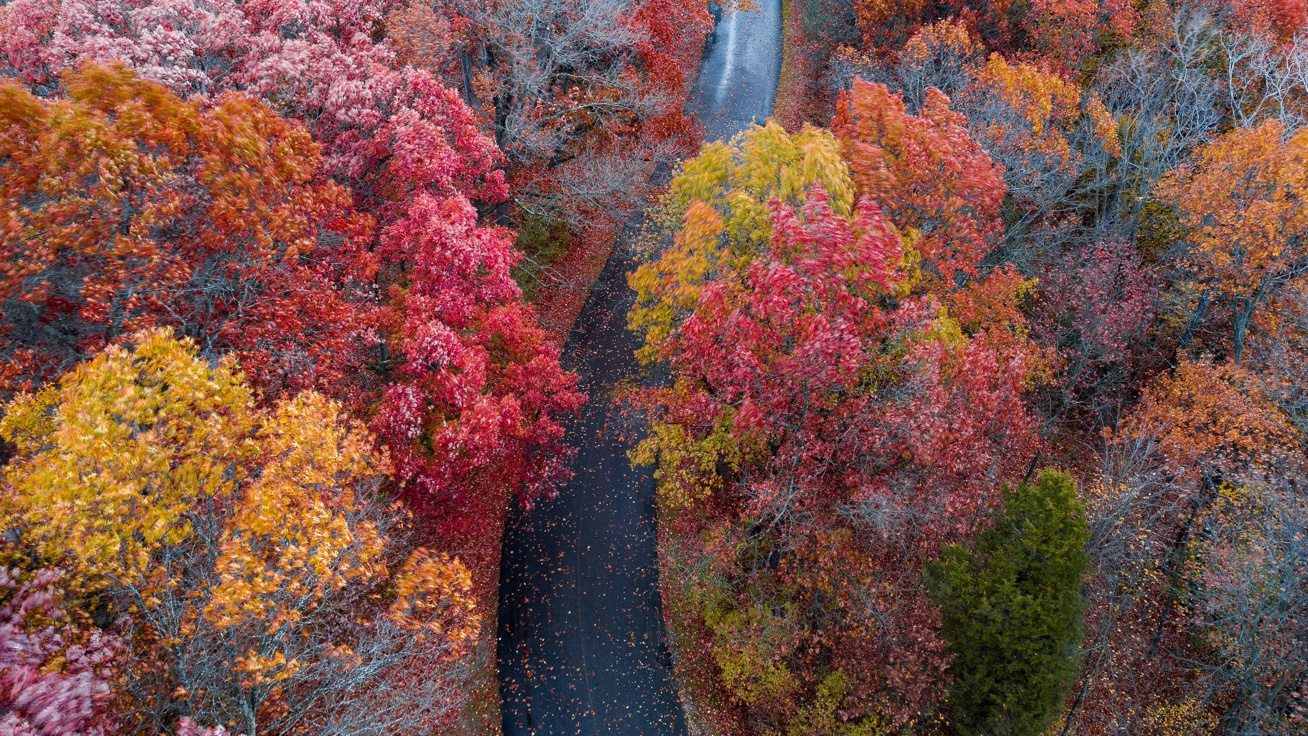 Haunted Hustle 5k & Monster Mile