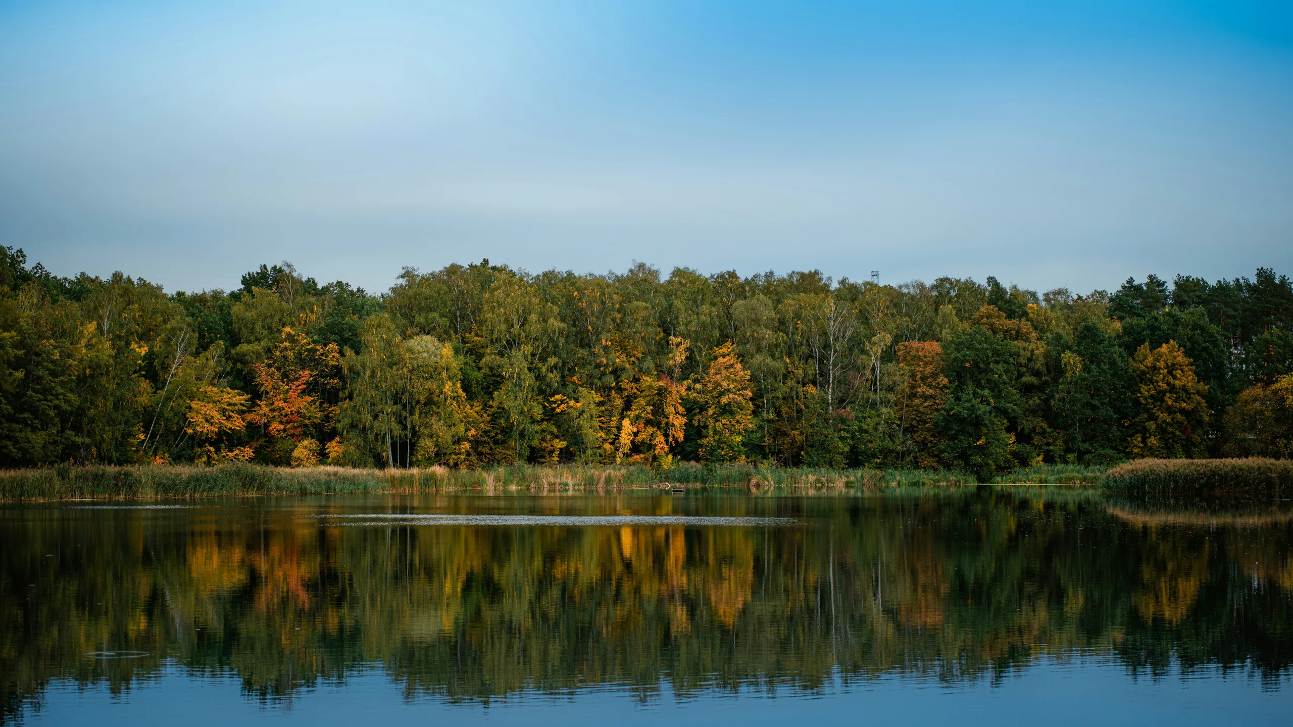 Lake Norman State Park Trail Race