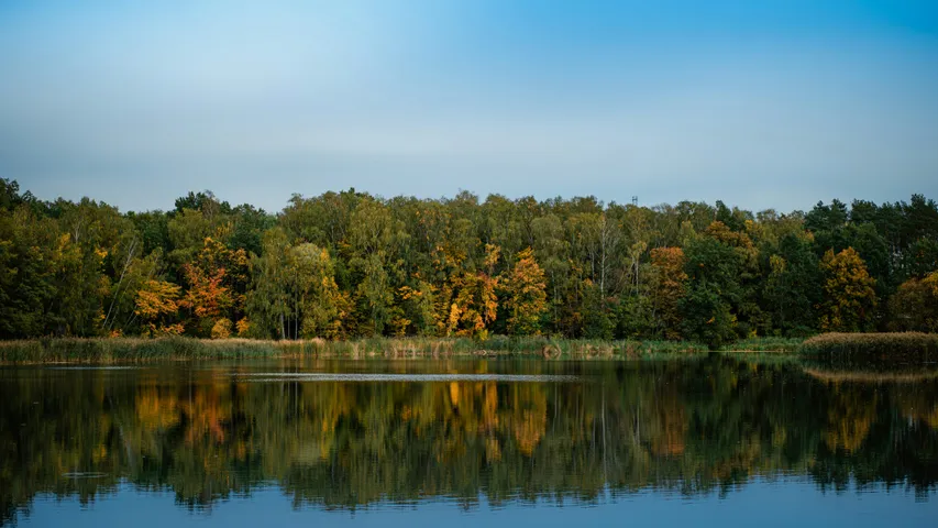Lake Norman State Park Trail Race