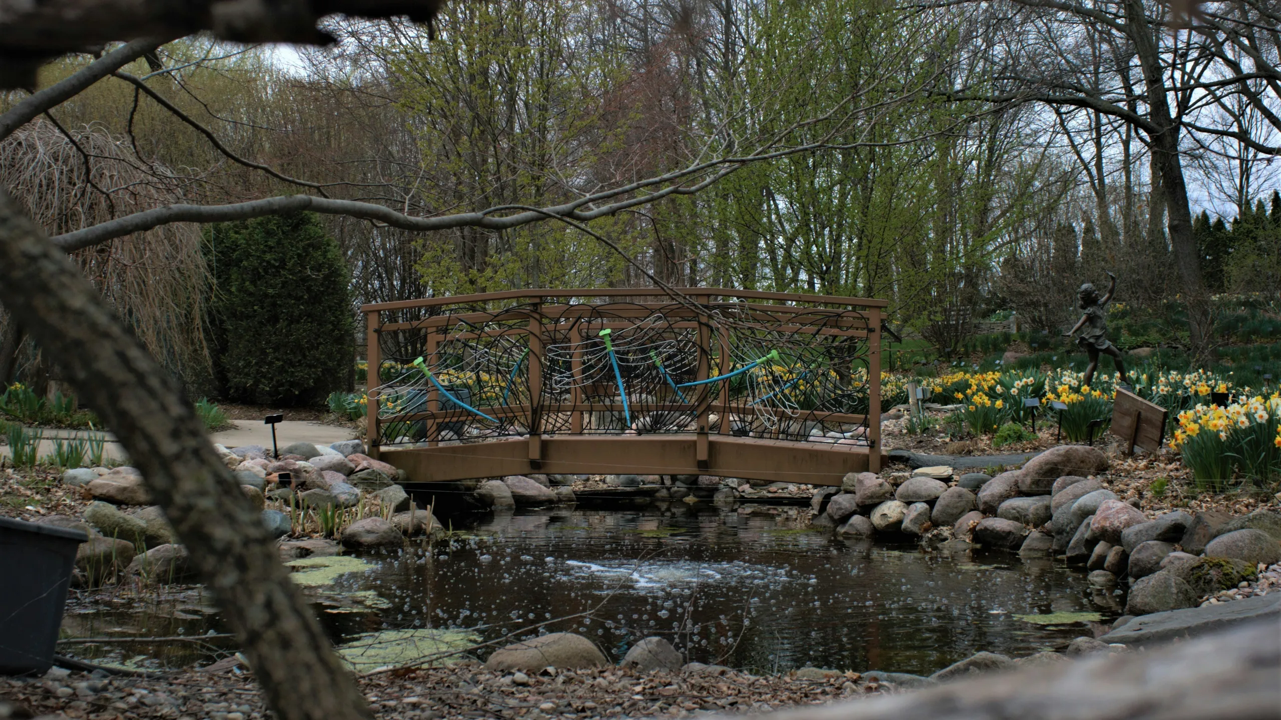 Festival Foods Turkey Trot Green Bay