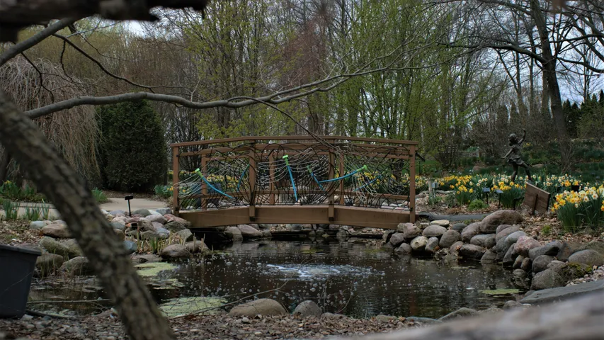 Festival Foods Turkey Trot Green Bay