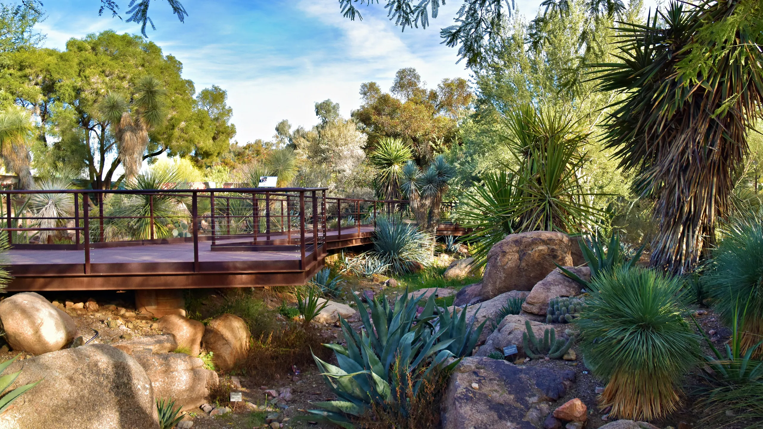 Lucky 5K/10K/Half Marathon - Phoenix