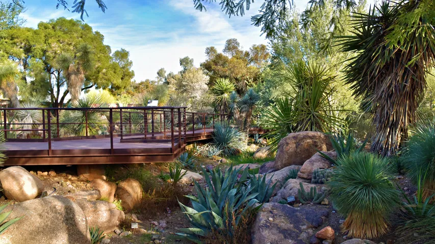 Lucky 5K/10K/Half Marathon - Phoenix